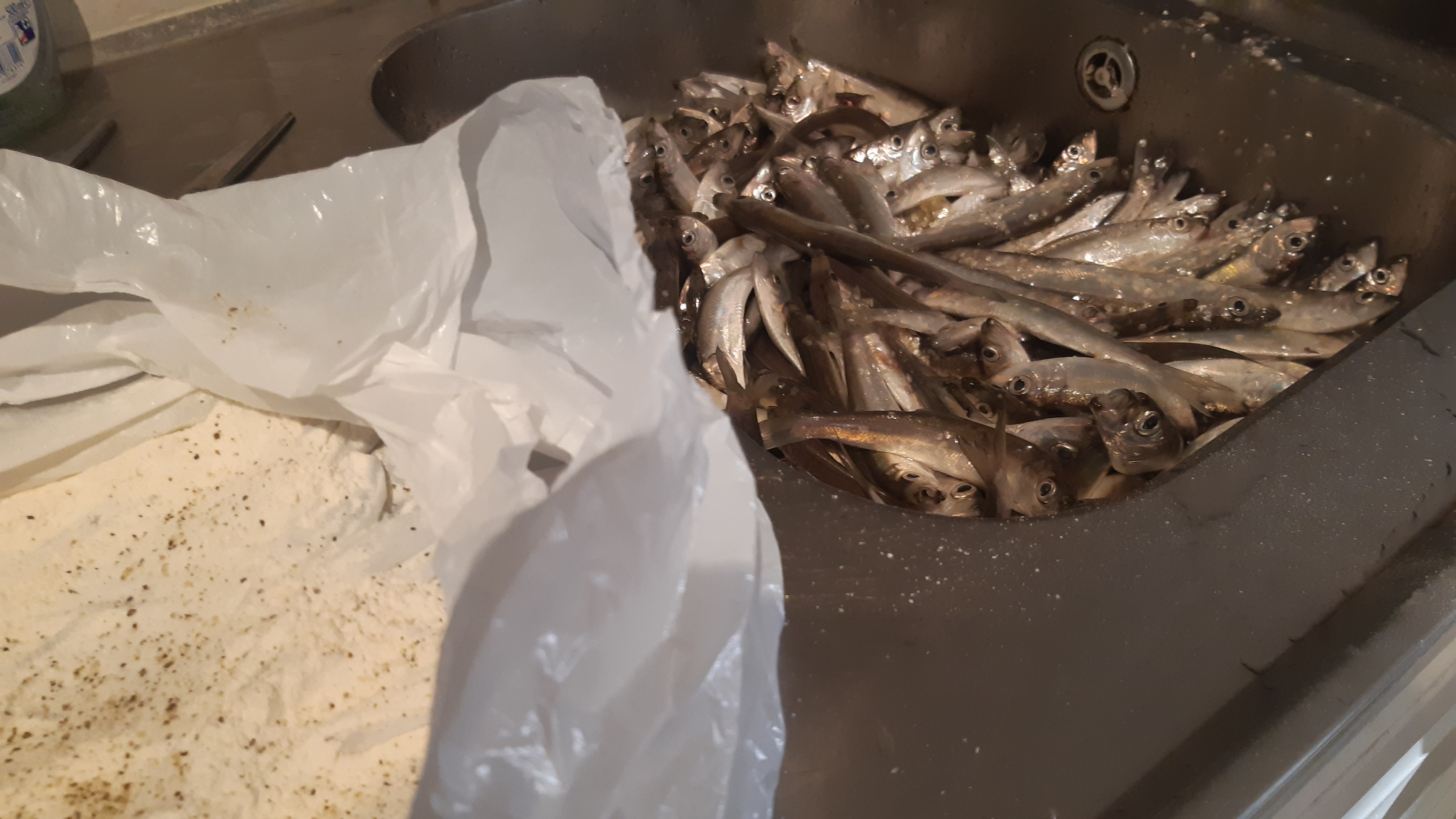 🍽️ Питание