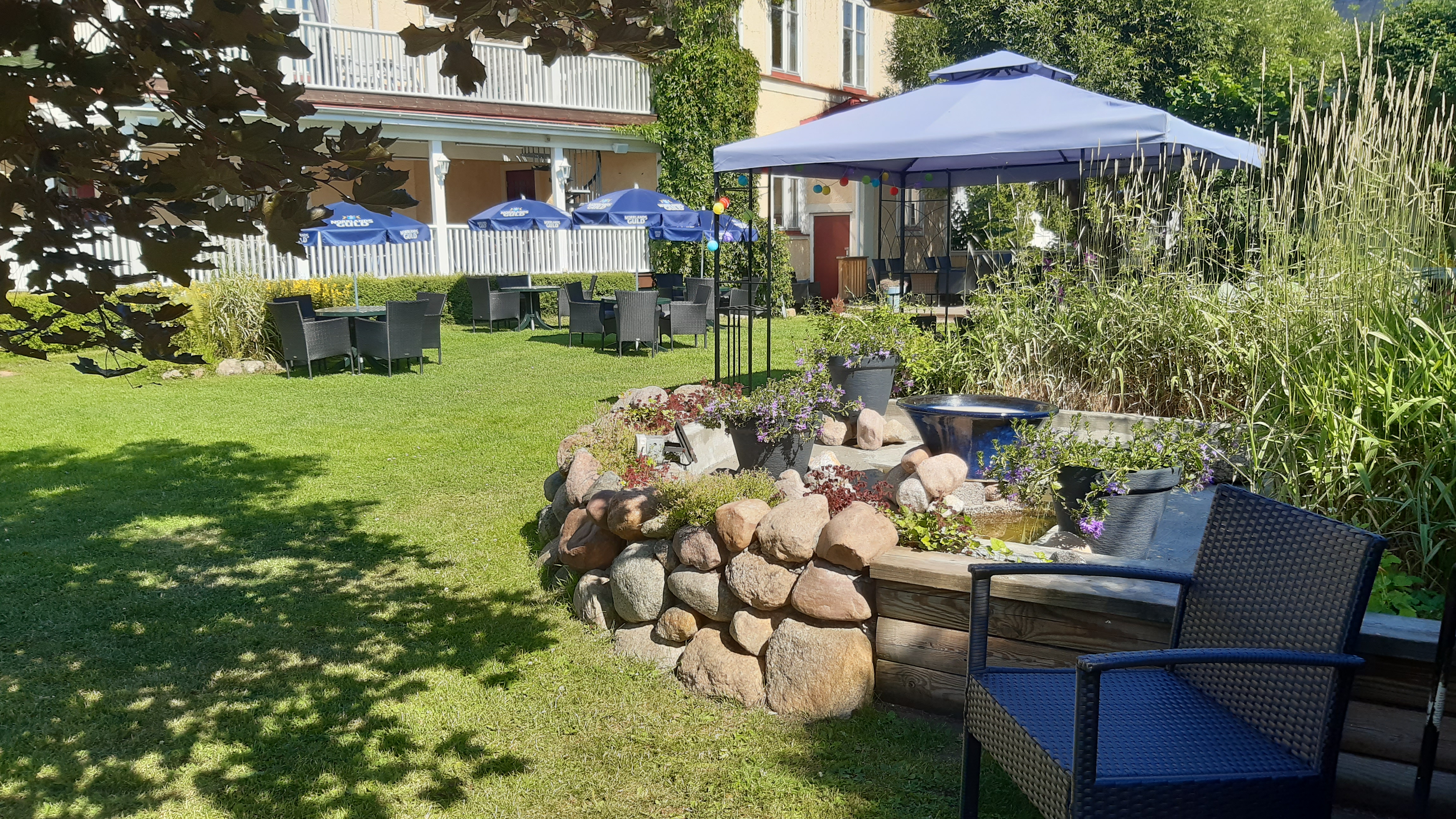 🍽️ Питание