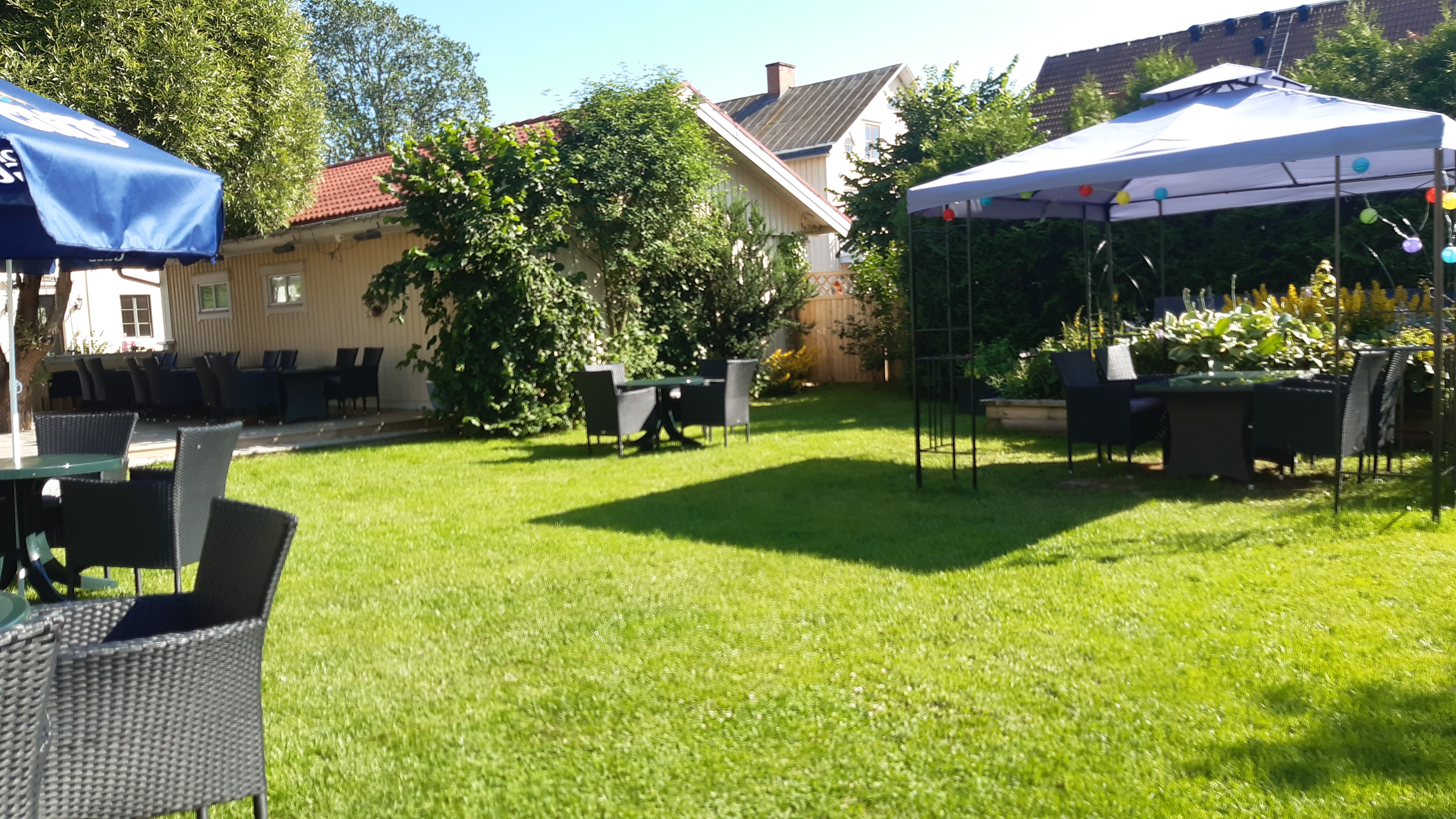 🍽️ Питание