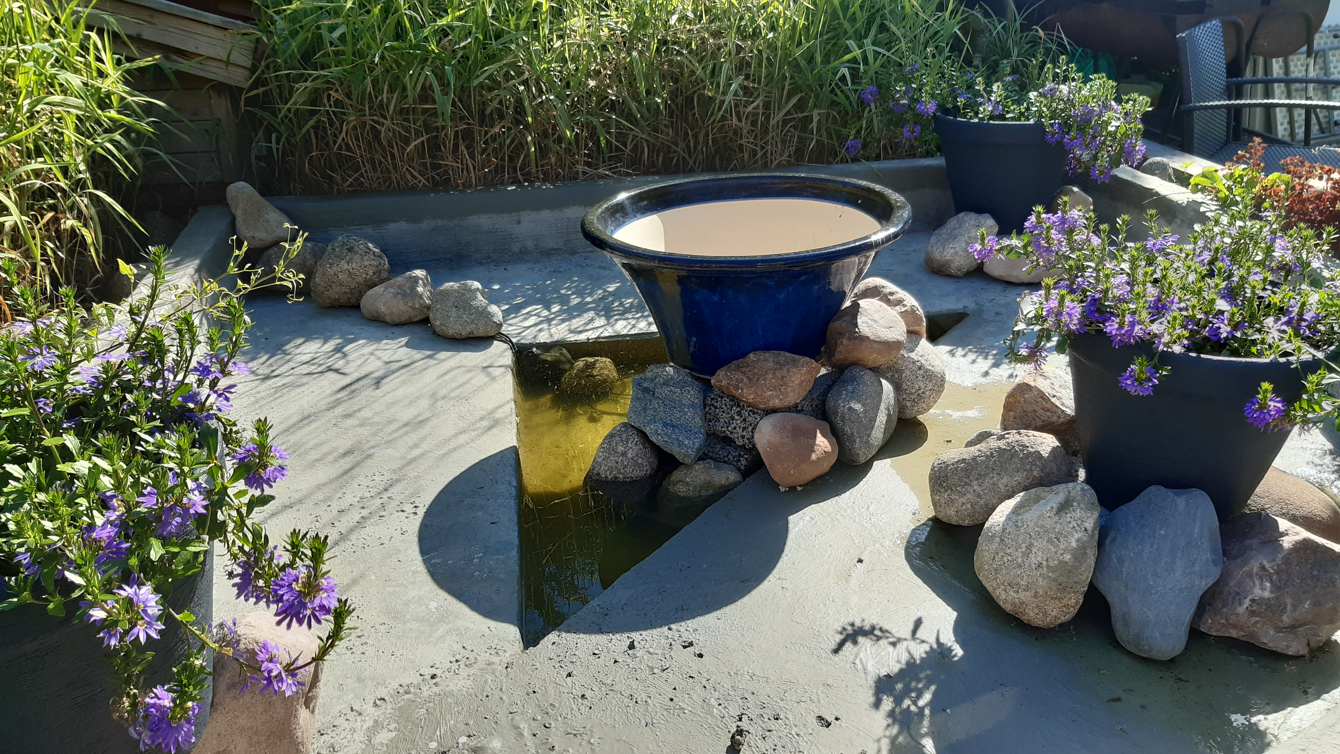 🍽️ Питание