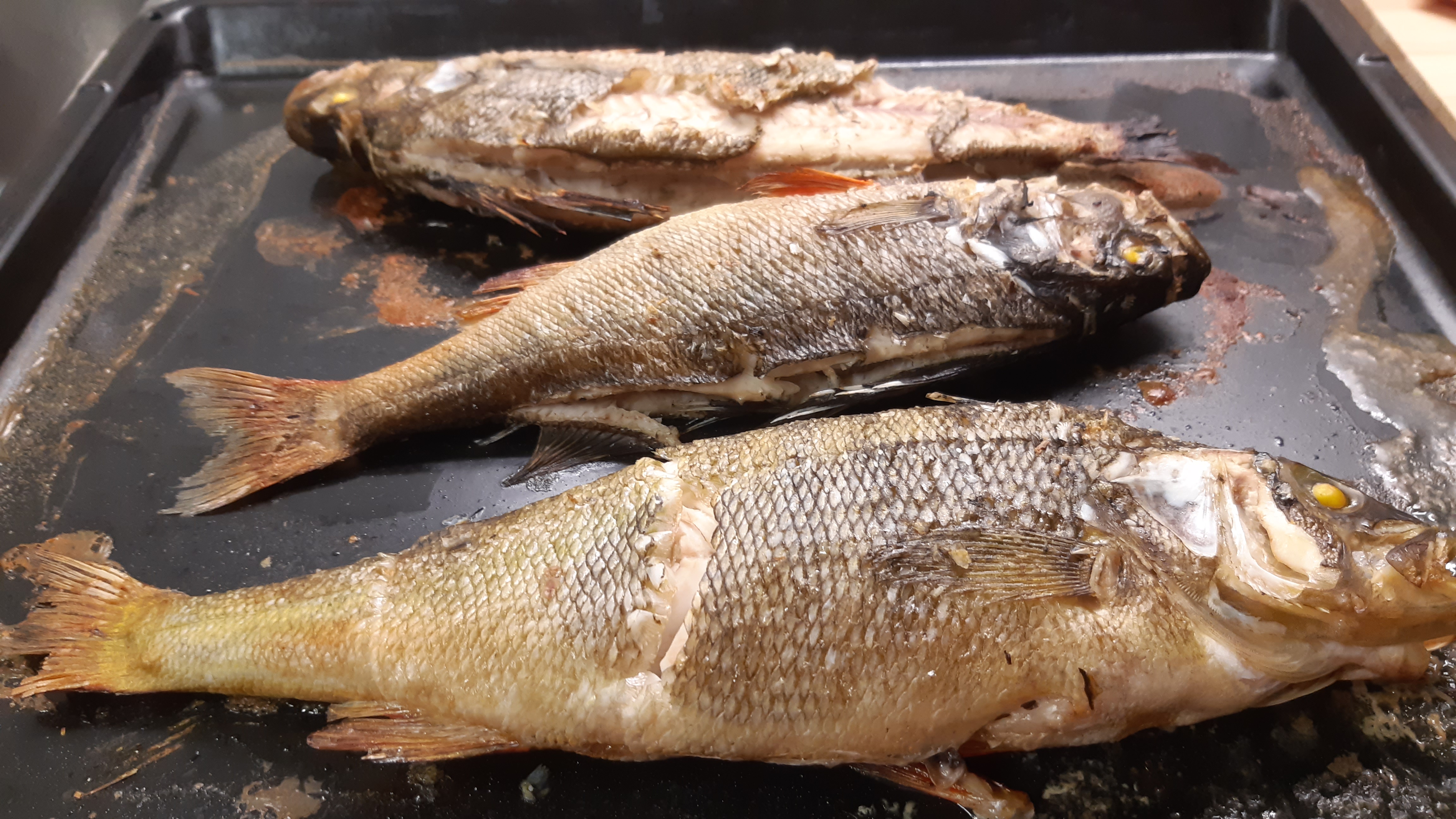 🍽️ Питание