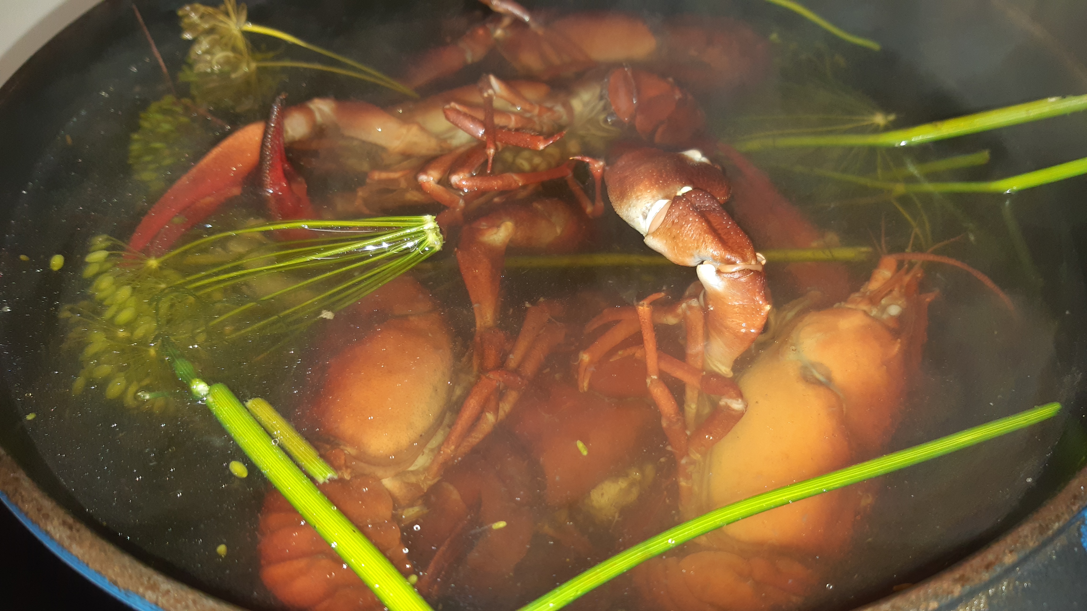 🍽️ Питание