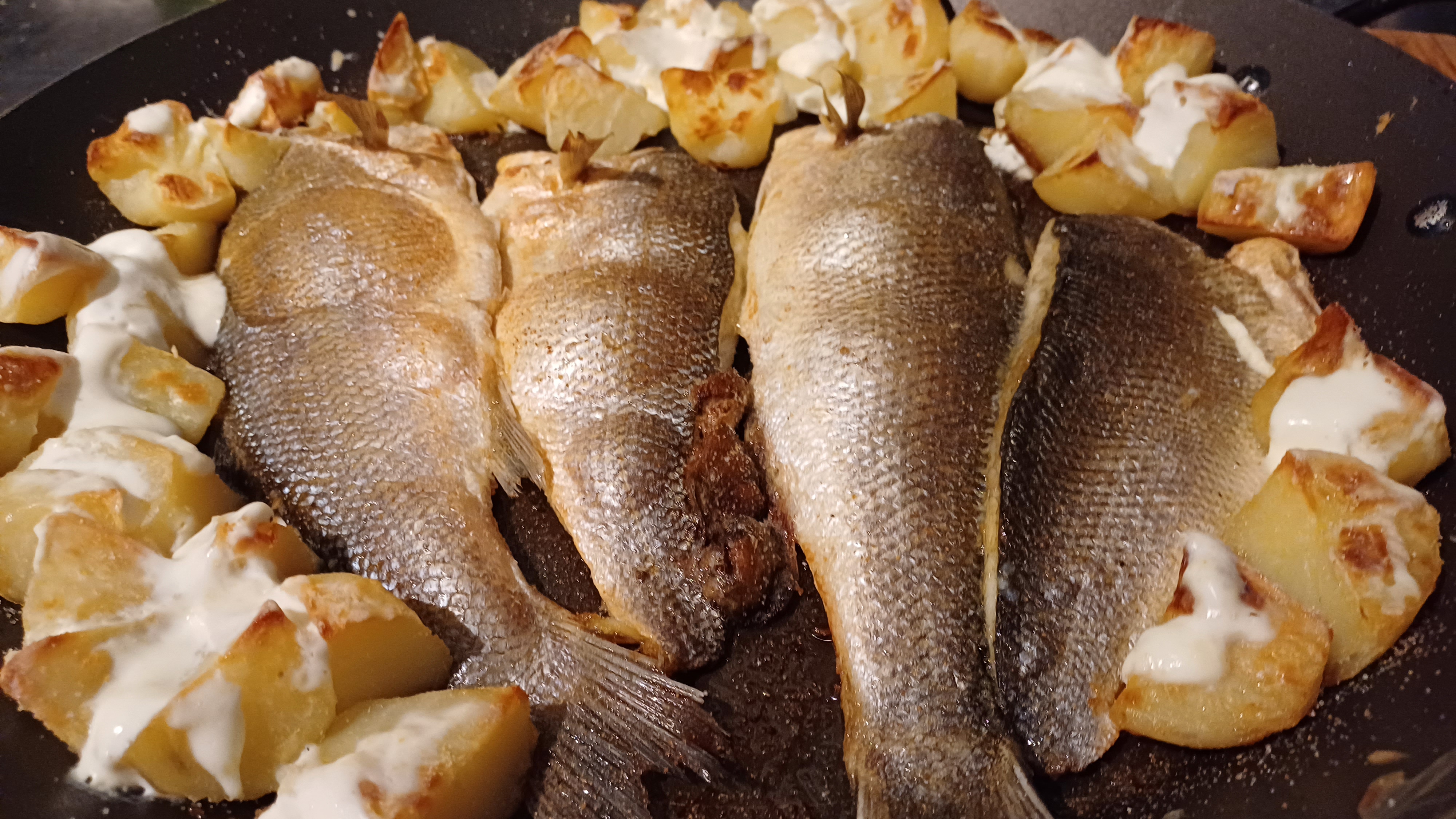 🍽️ Питание