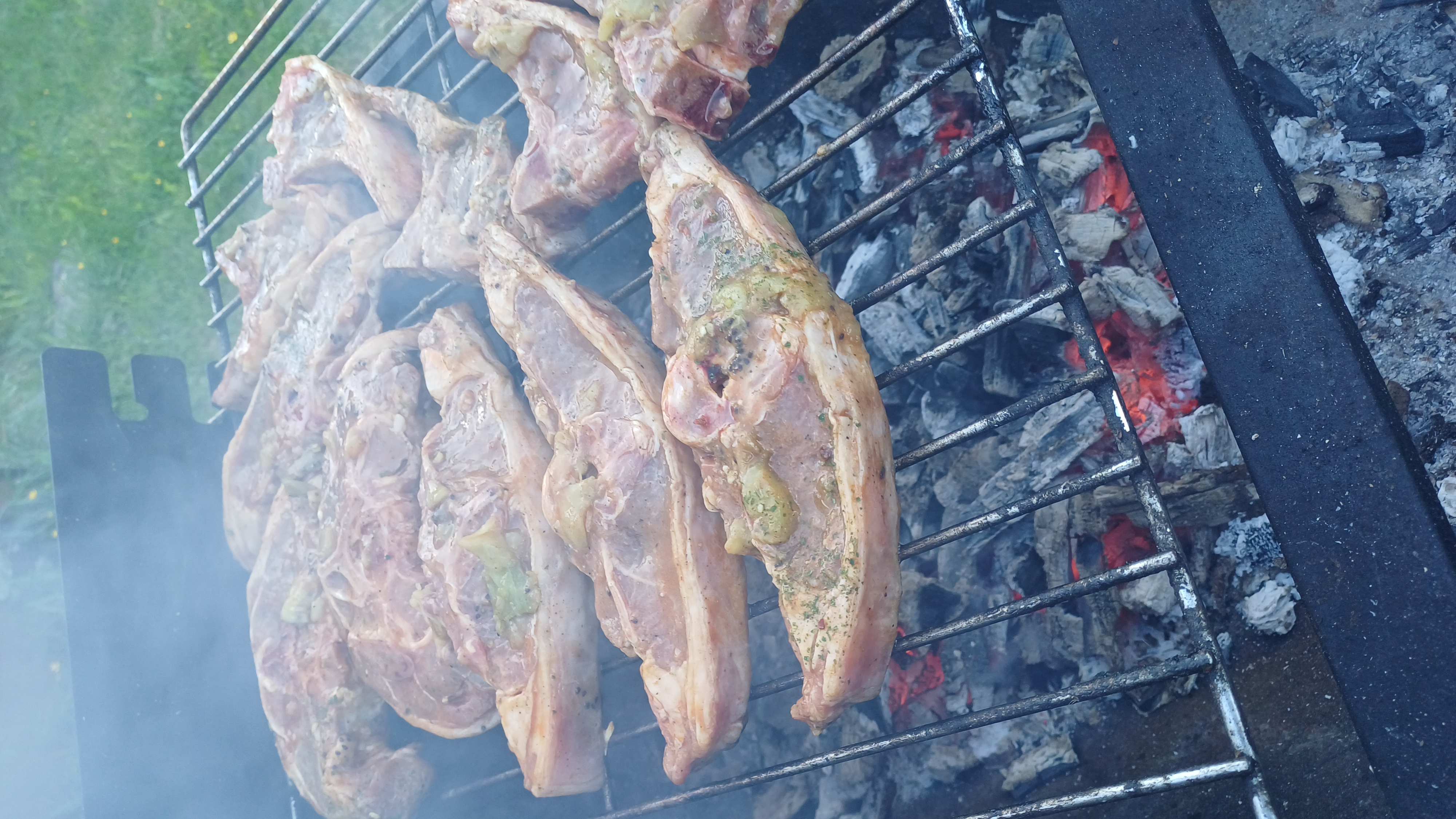 🍽️ Питание