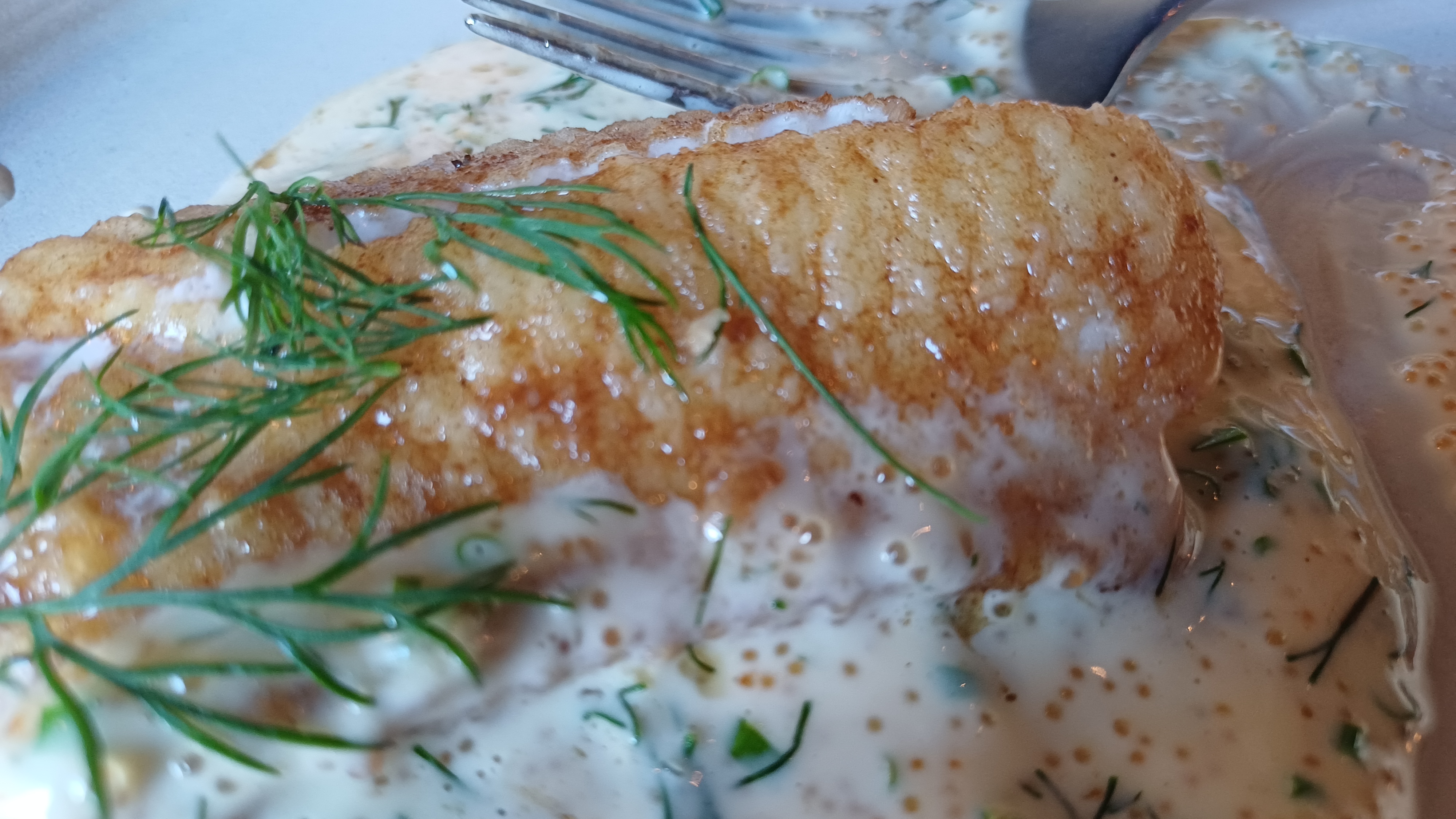 🍽️ Питание