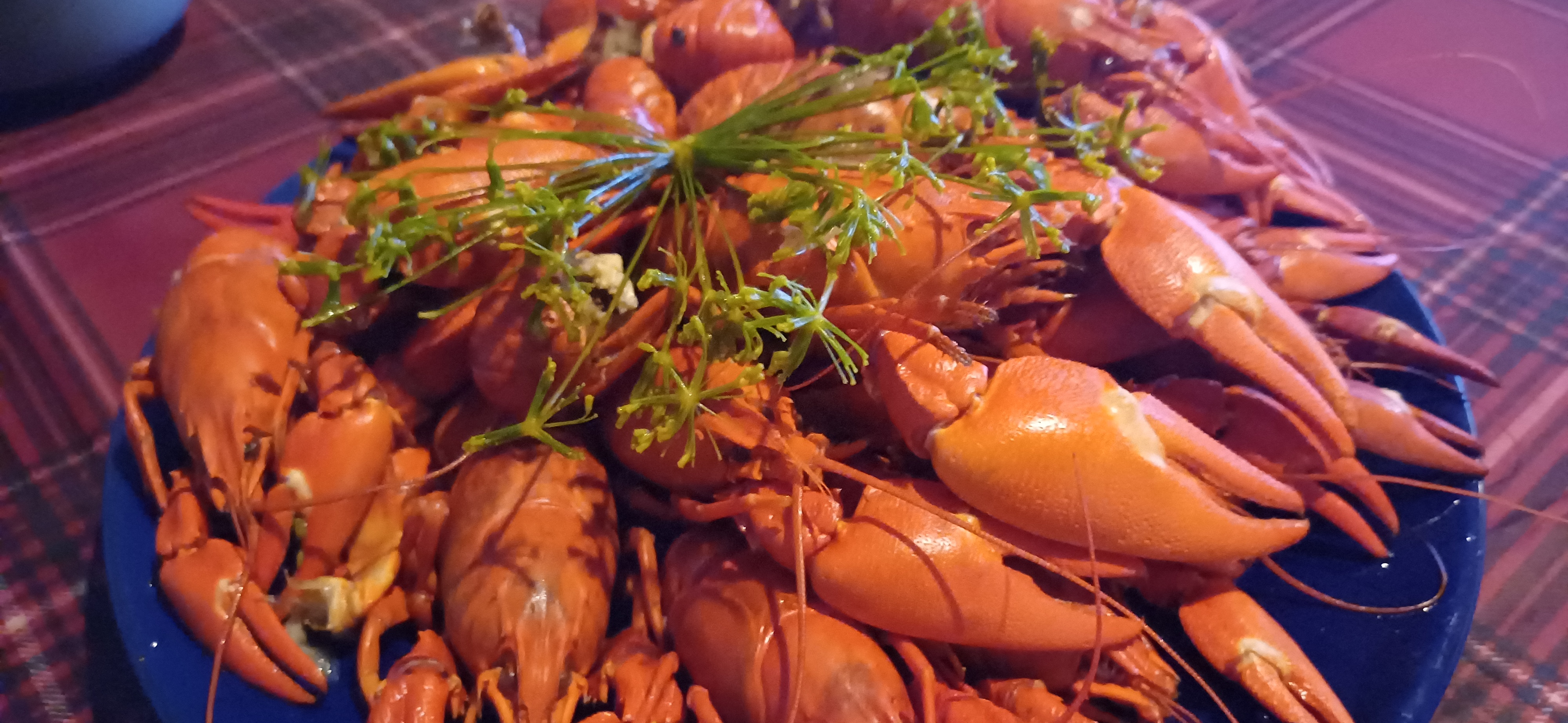 🍽️ Питание