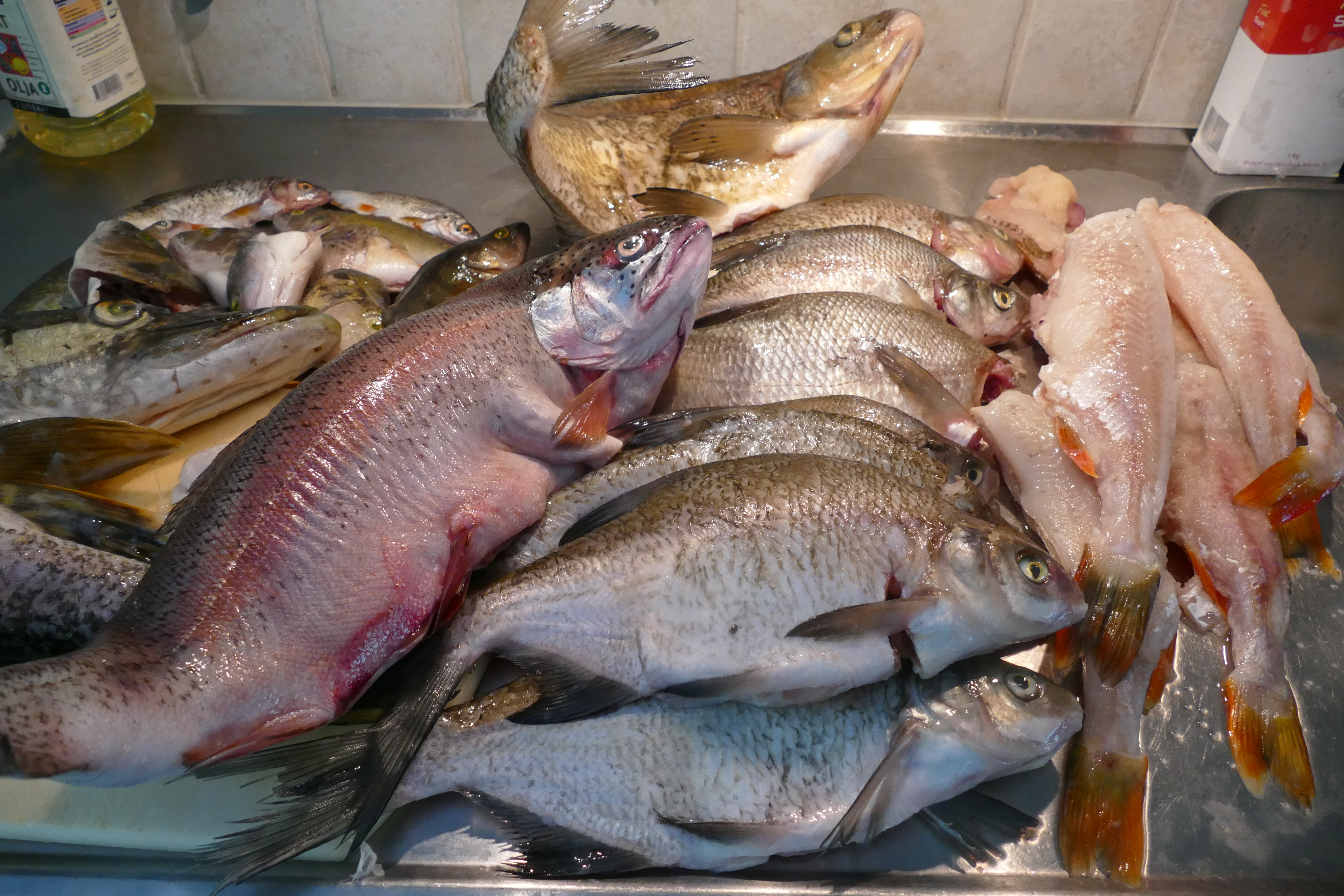 🍽️ Питание