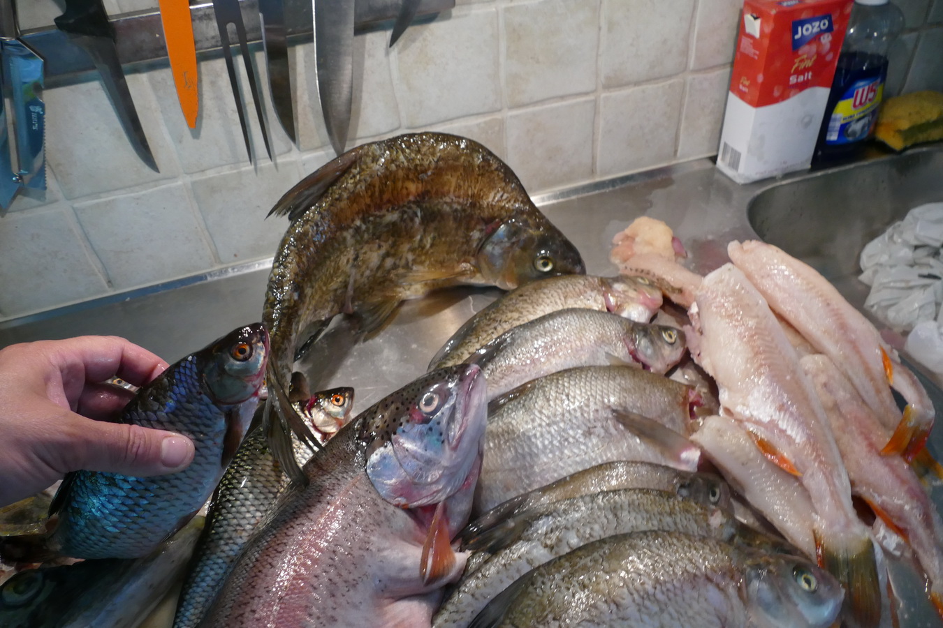 🍽️ Питание