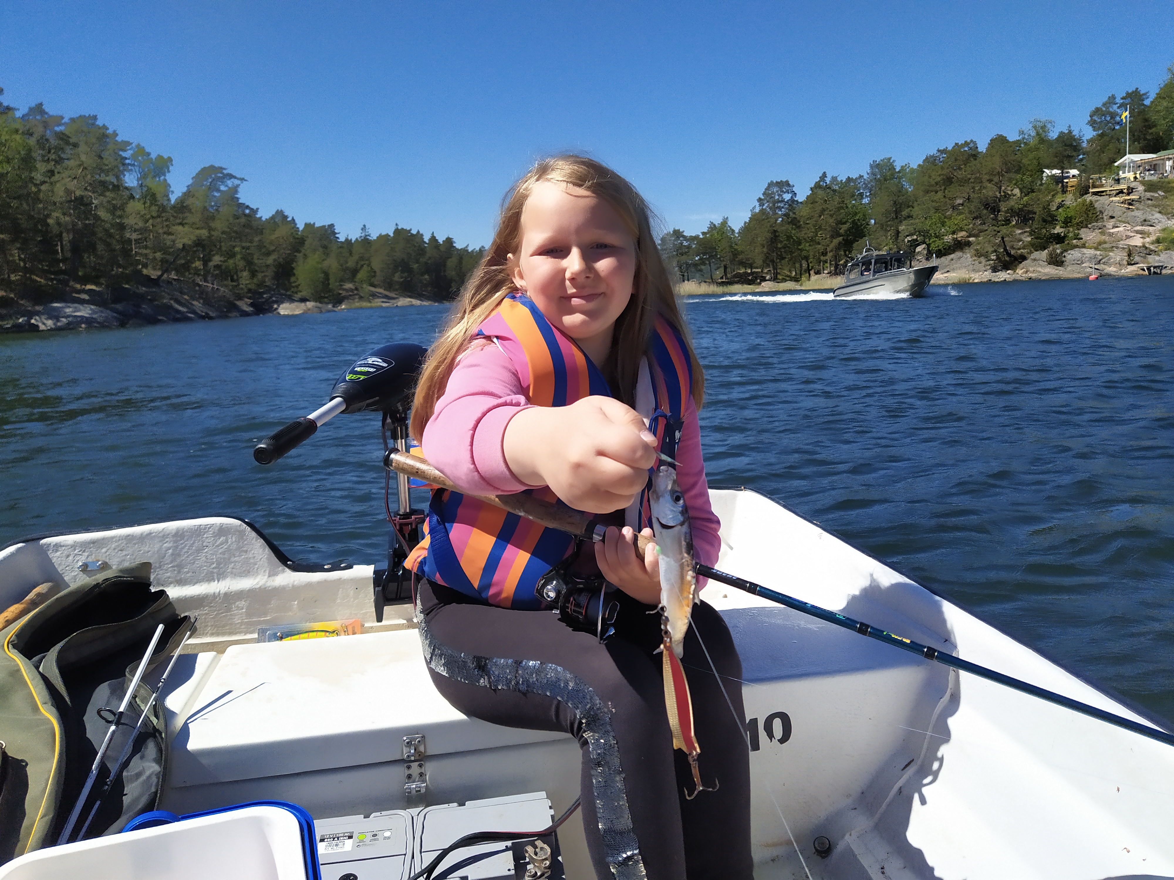 🐟 Салака и скумбрия