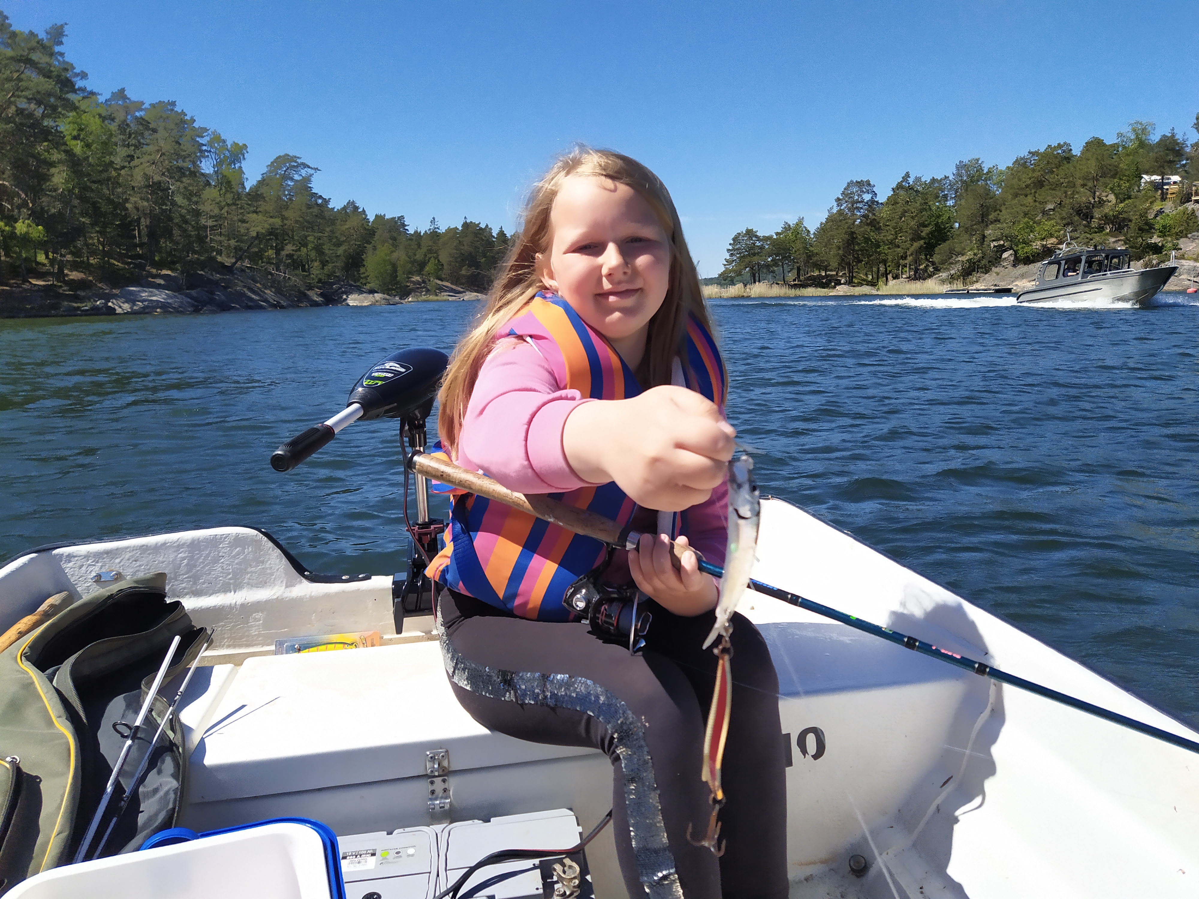 🐟 Салака и скумбрия