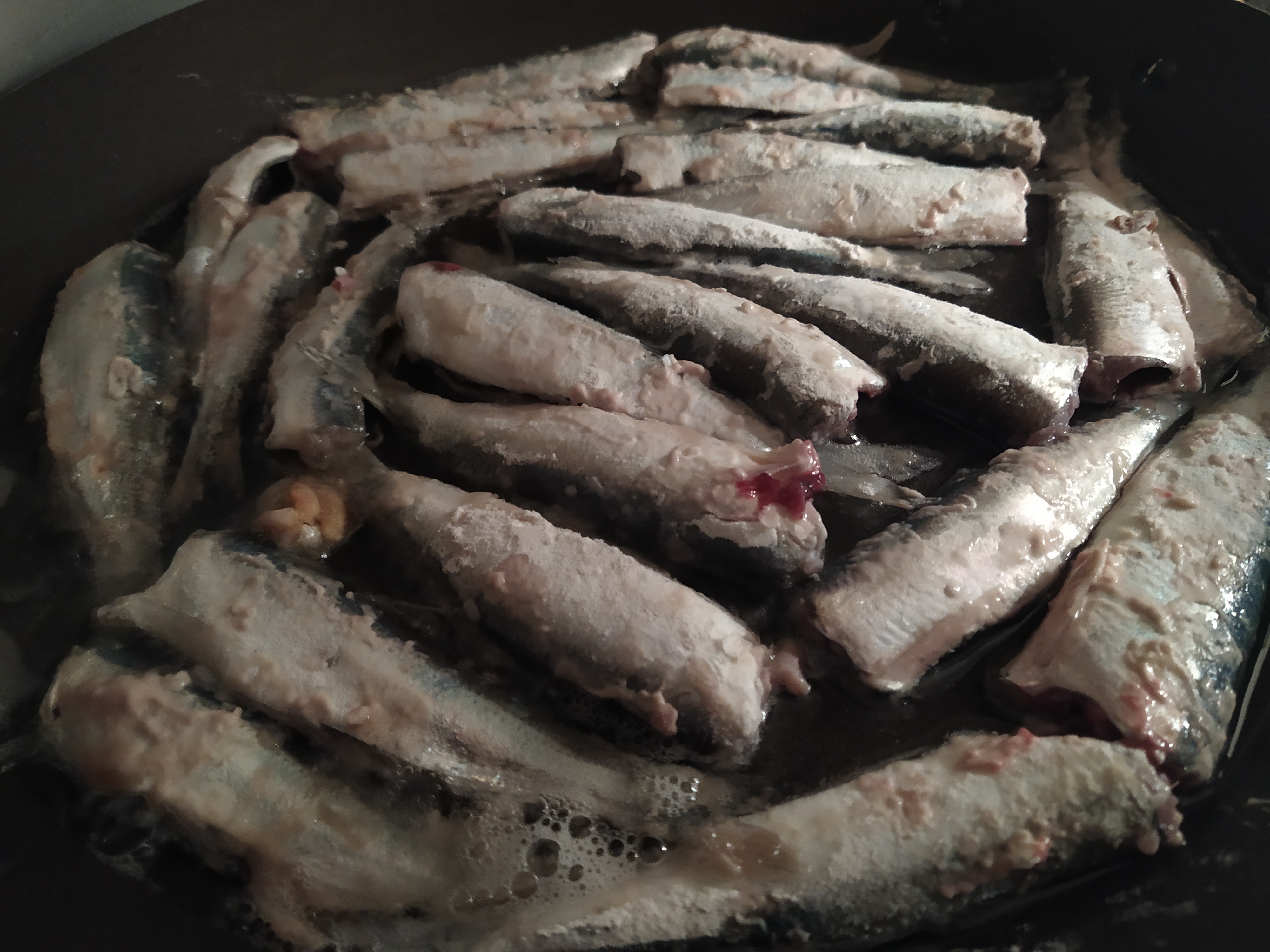 🐟 Салака и скумбрия