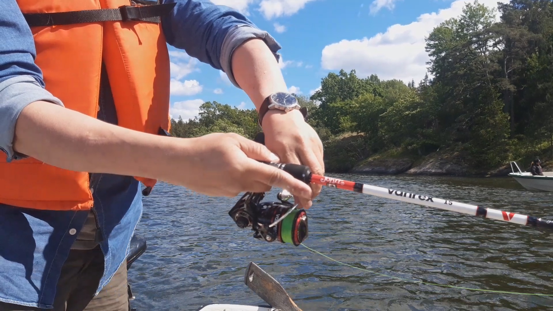 🐟 Салака и скумбрия
