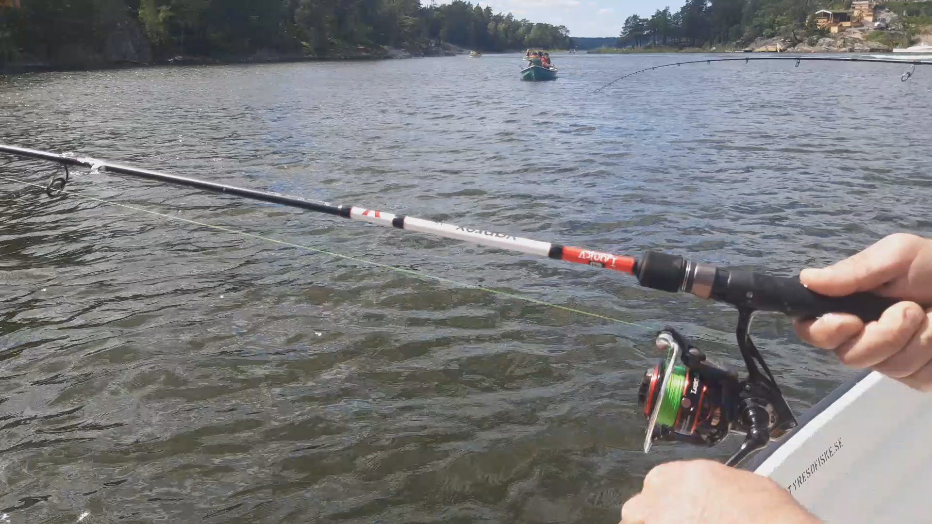 🐟 Салака и скумбрия