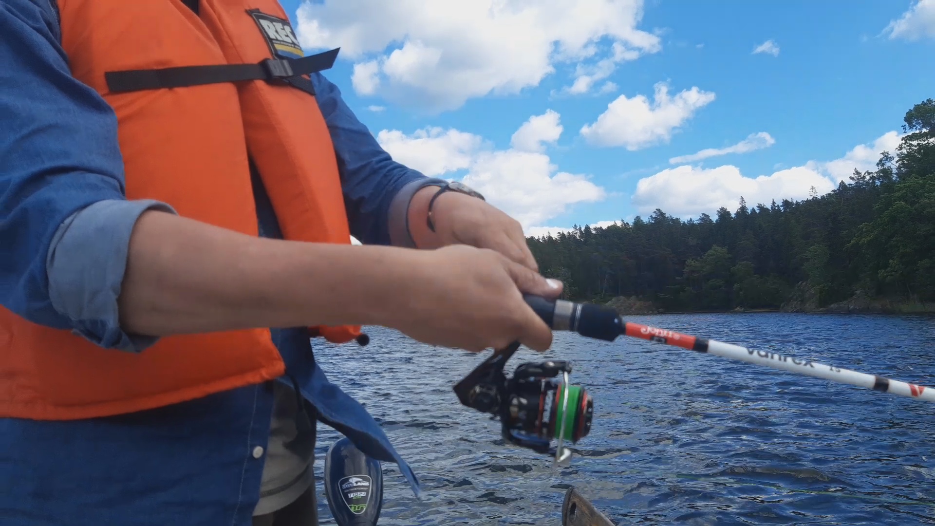 🐟 Салака и скумбрия