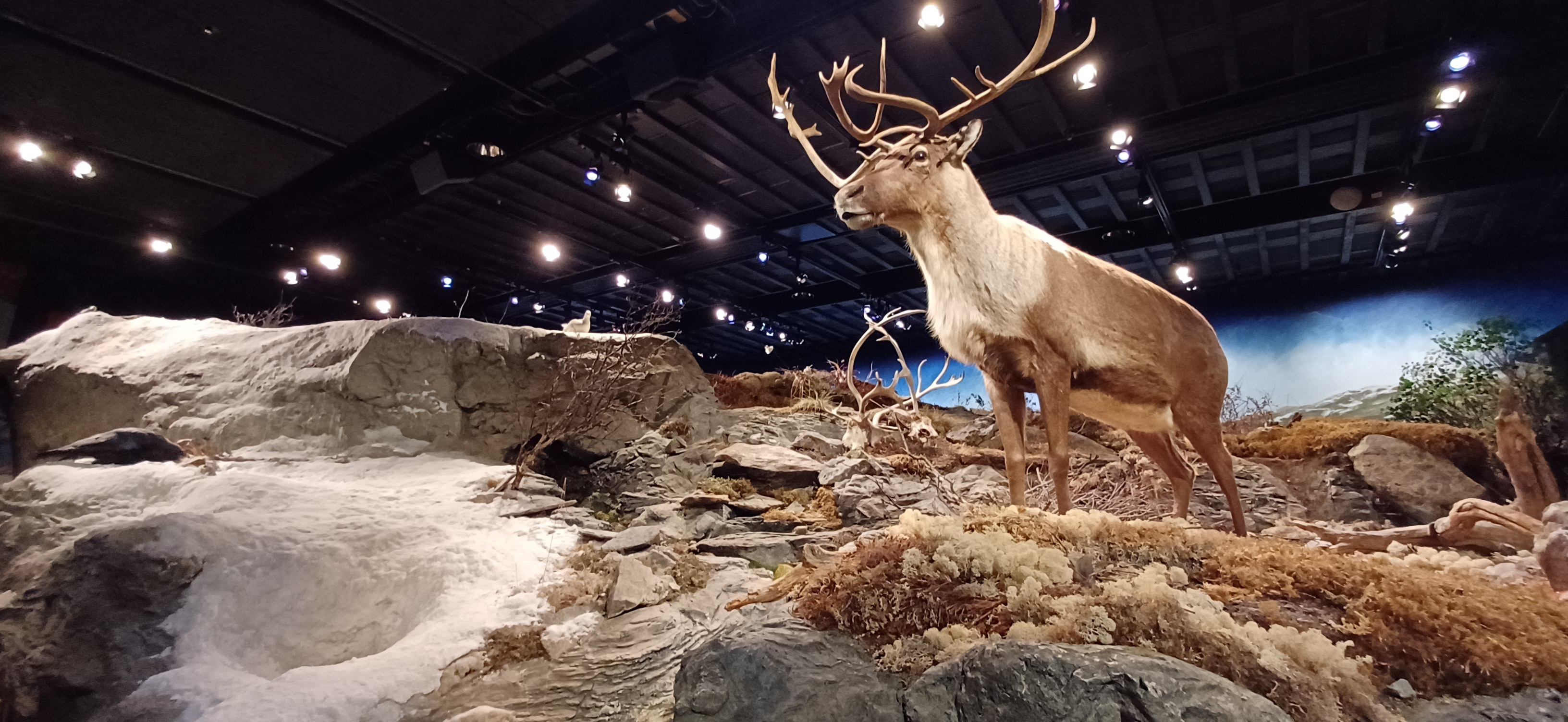 🏔️ Север Швеции