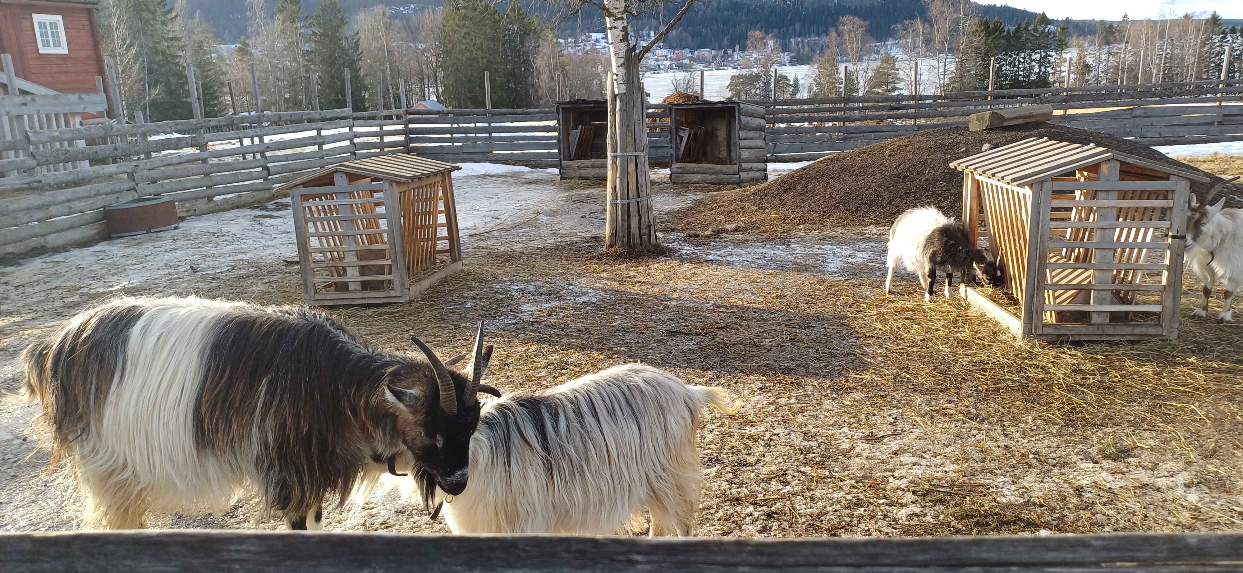 🏔️ Север Швеции
