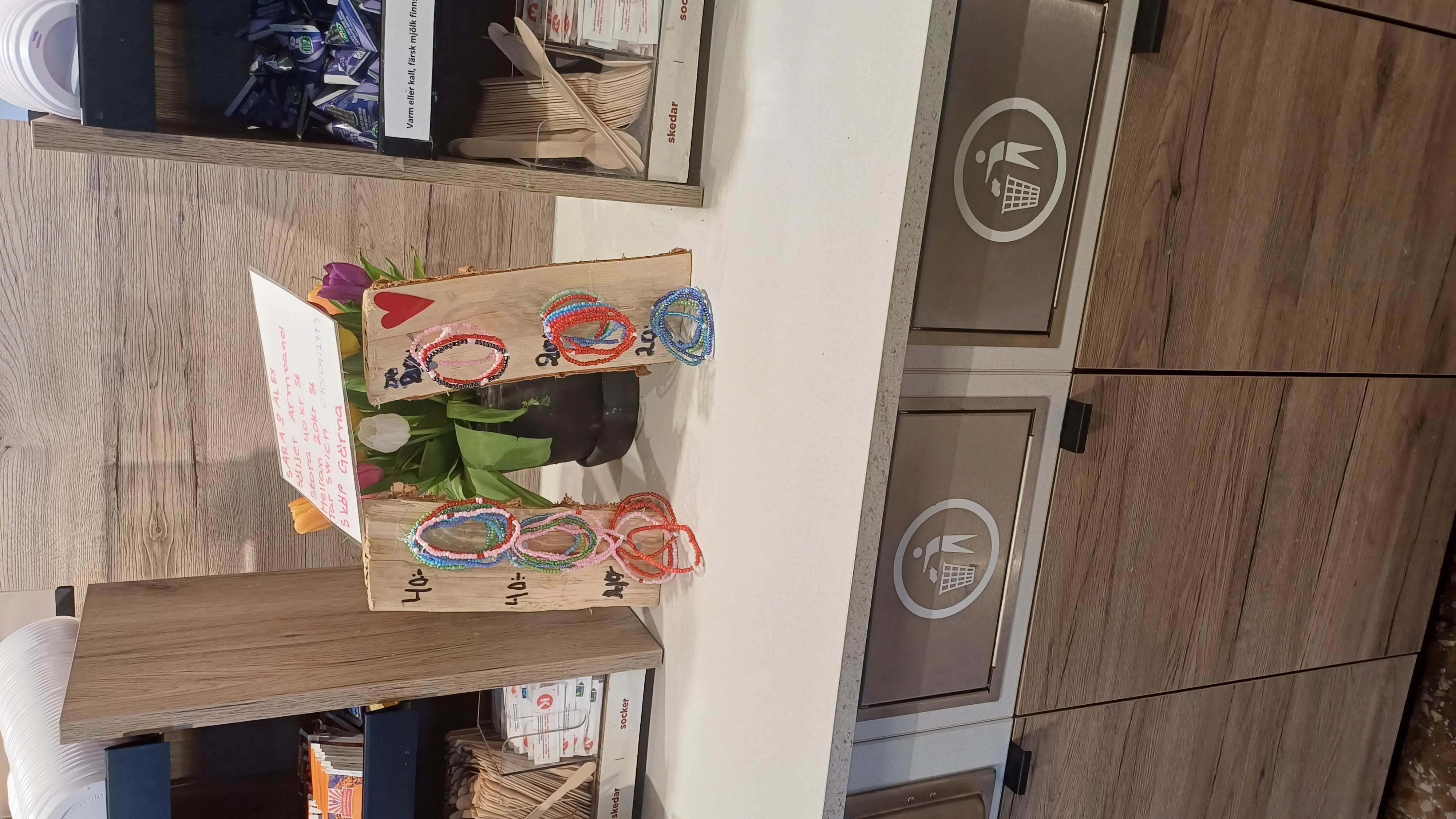 🏔️ Север Швеции