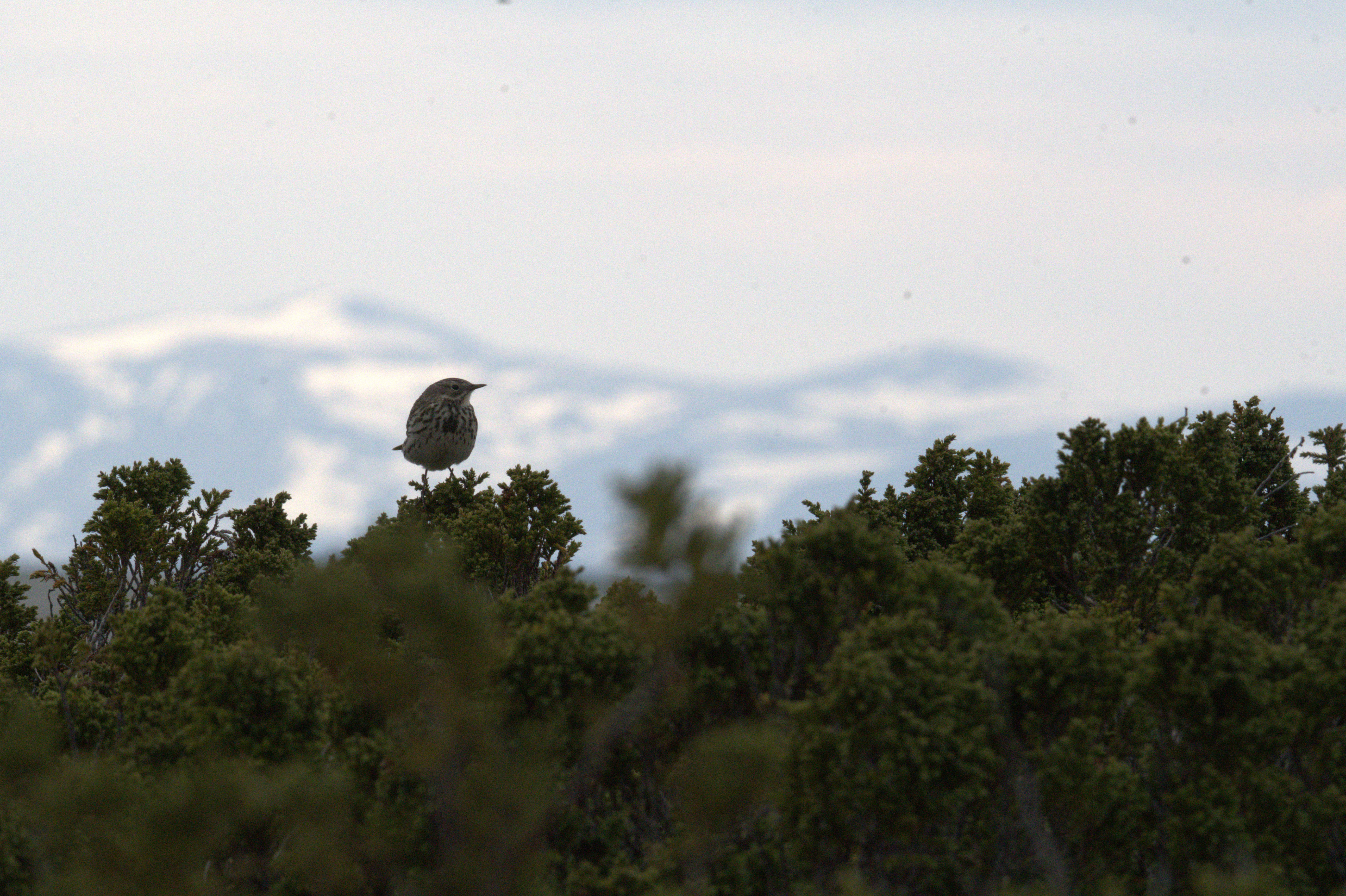 🏔️ Север Швеции