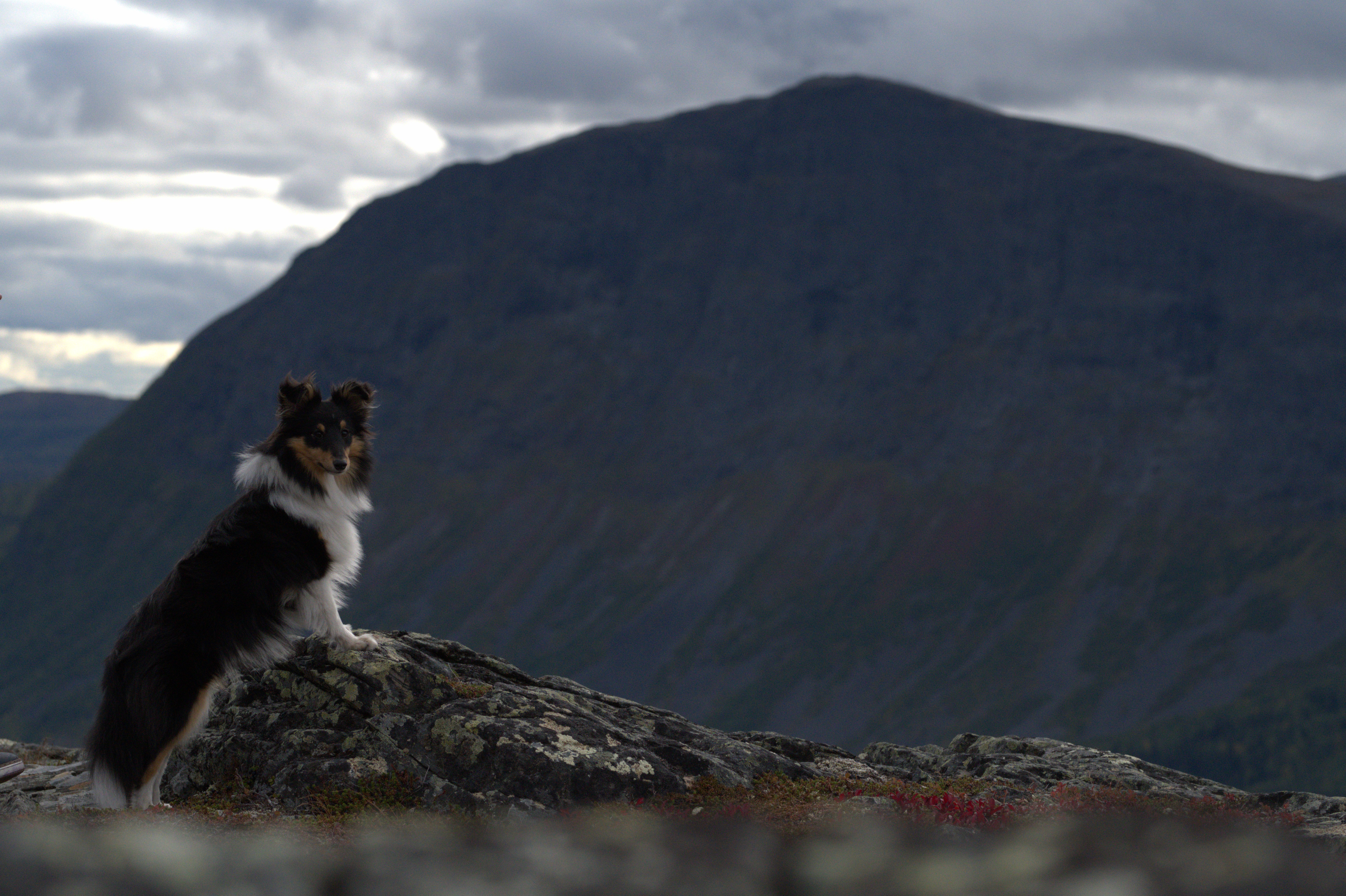 🏔️ Север Швеции