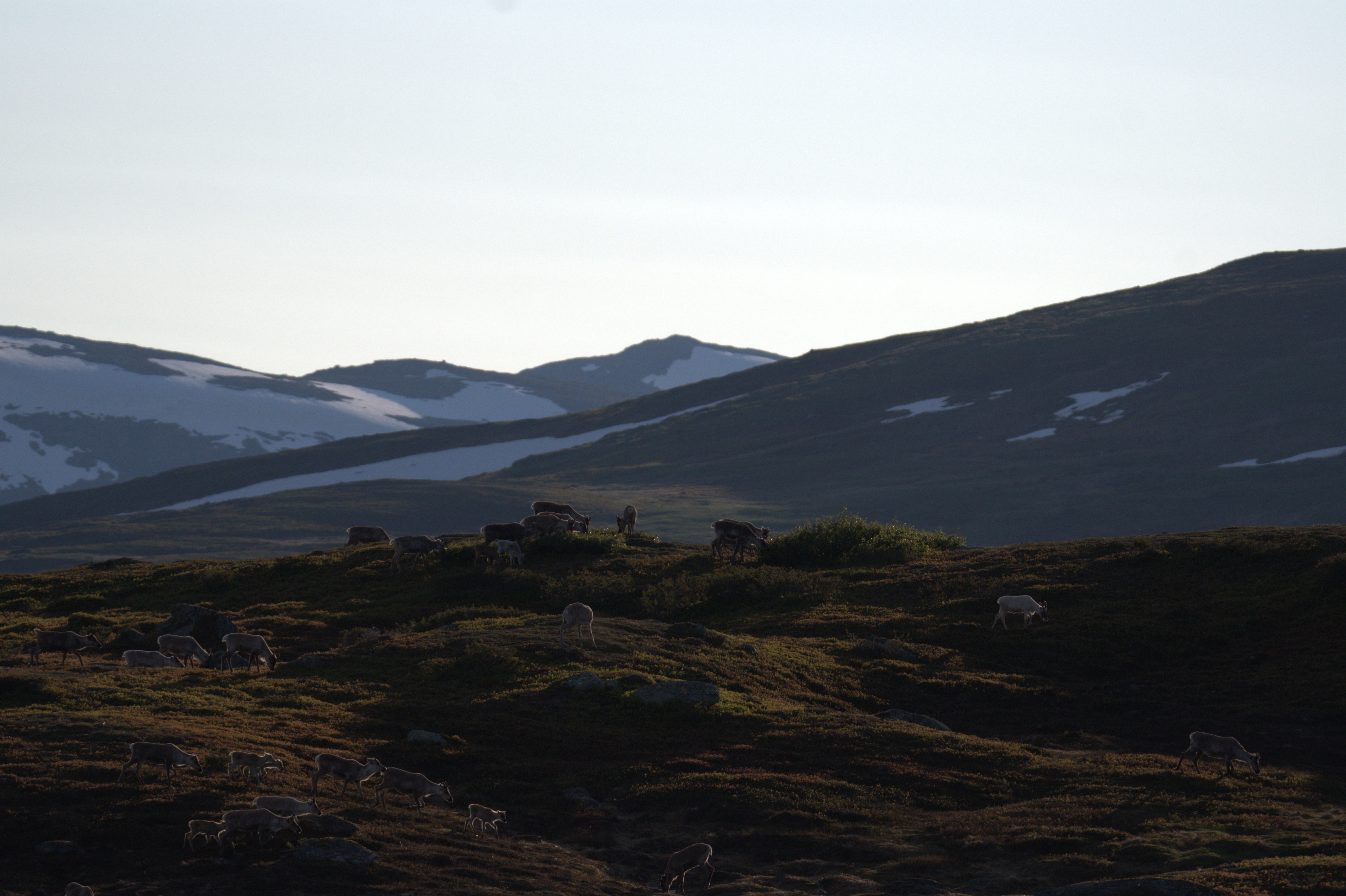 🏔️ Север Швеции