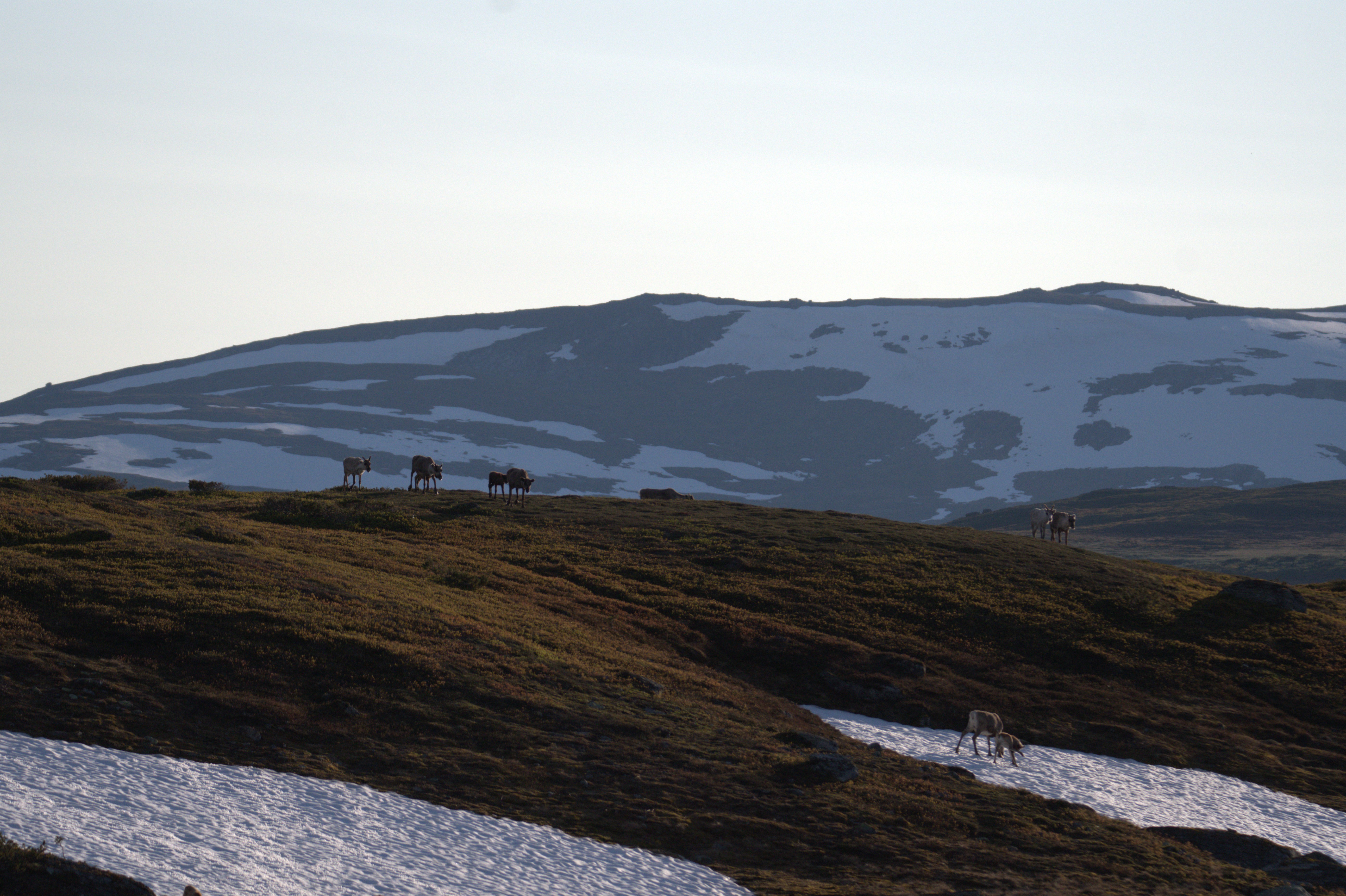 🏔️ Север Швеции