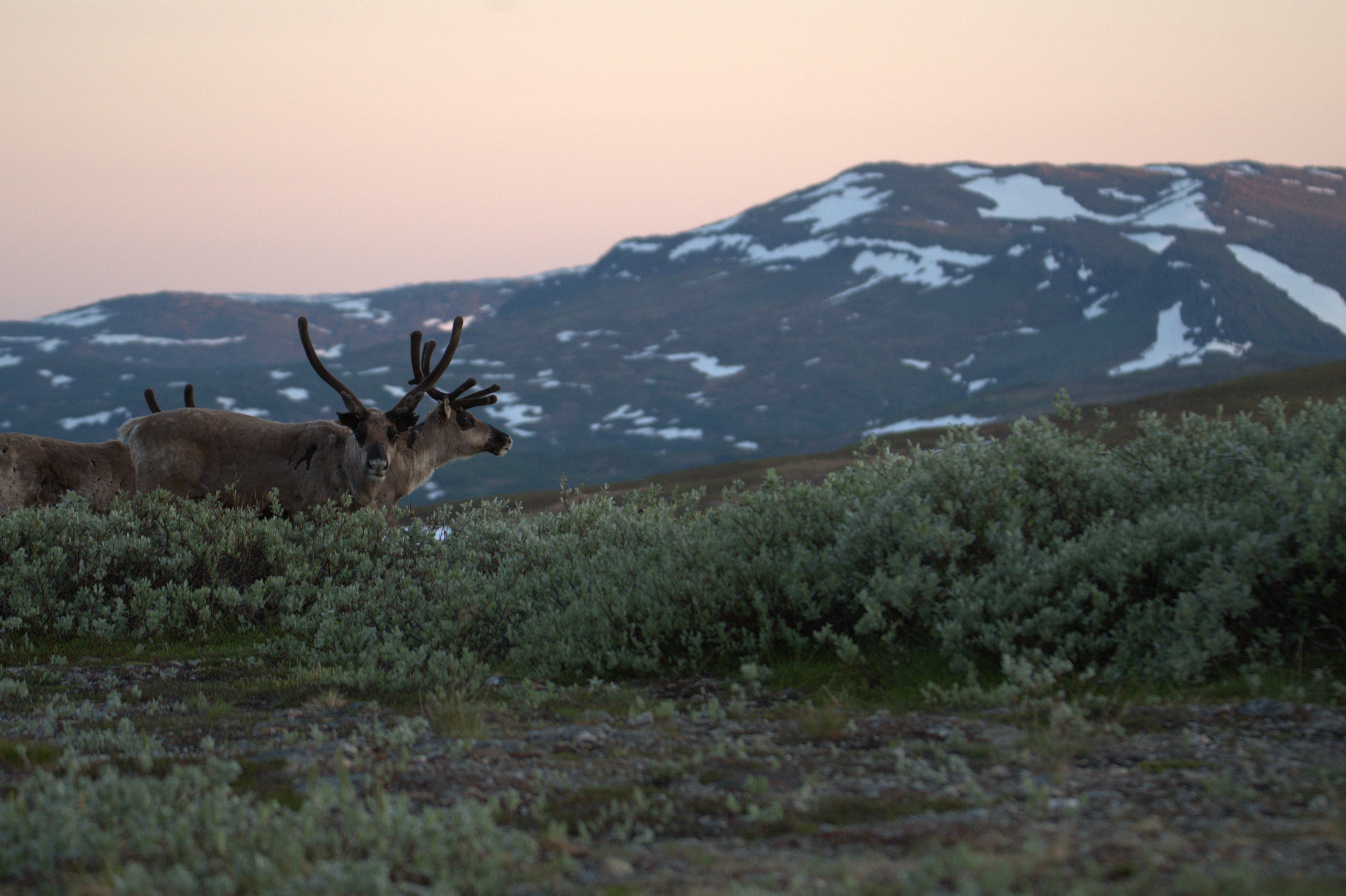 🏔️ Север Швеции