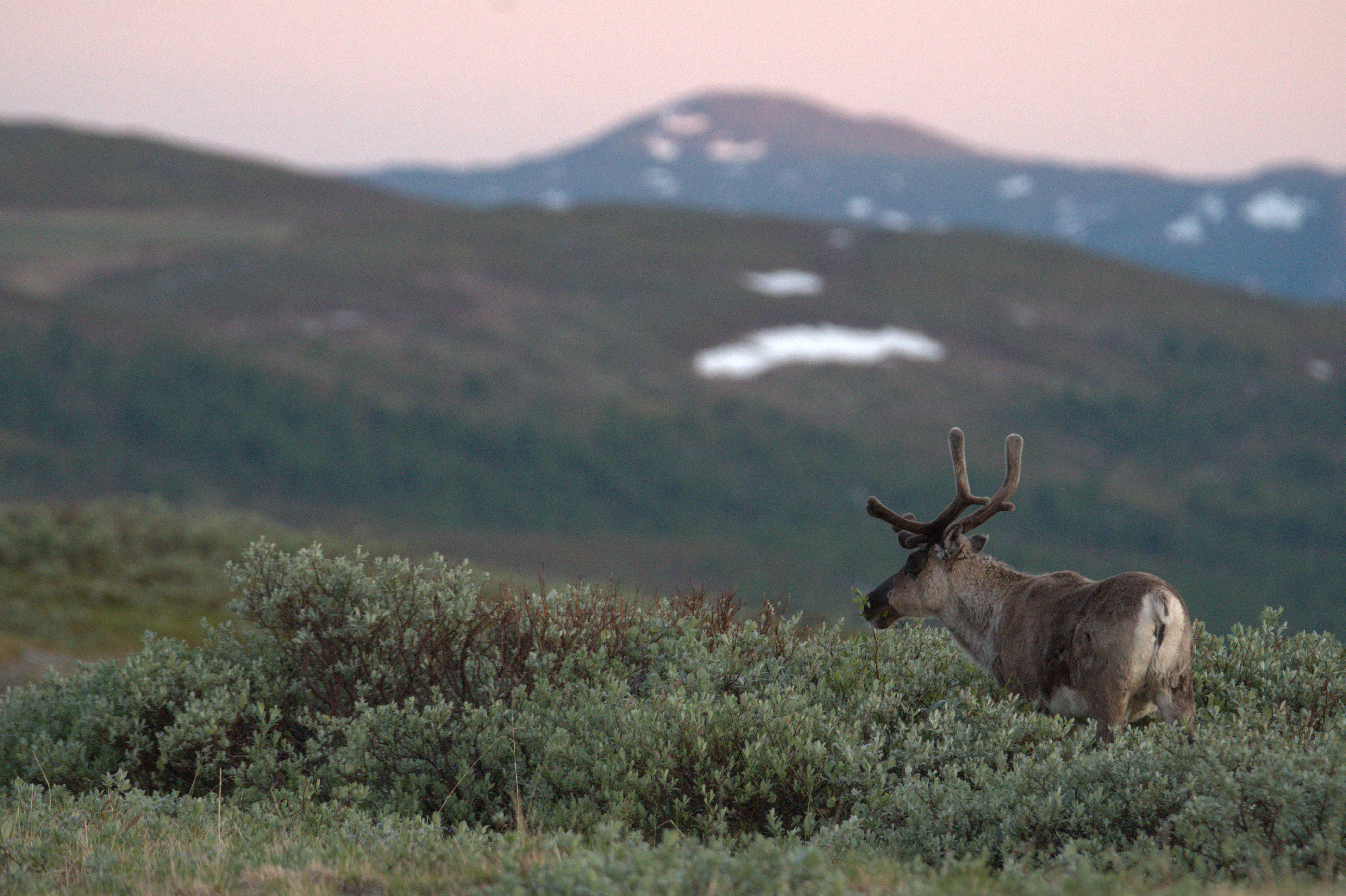 🏔️ Север Швеции