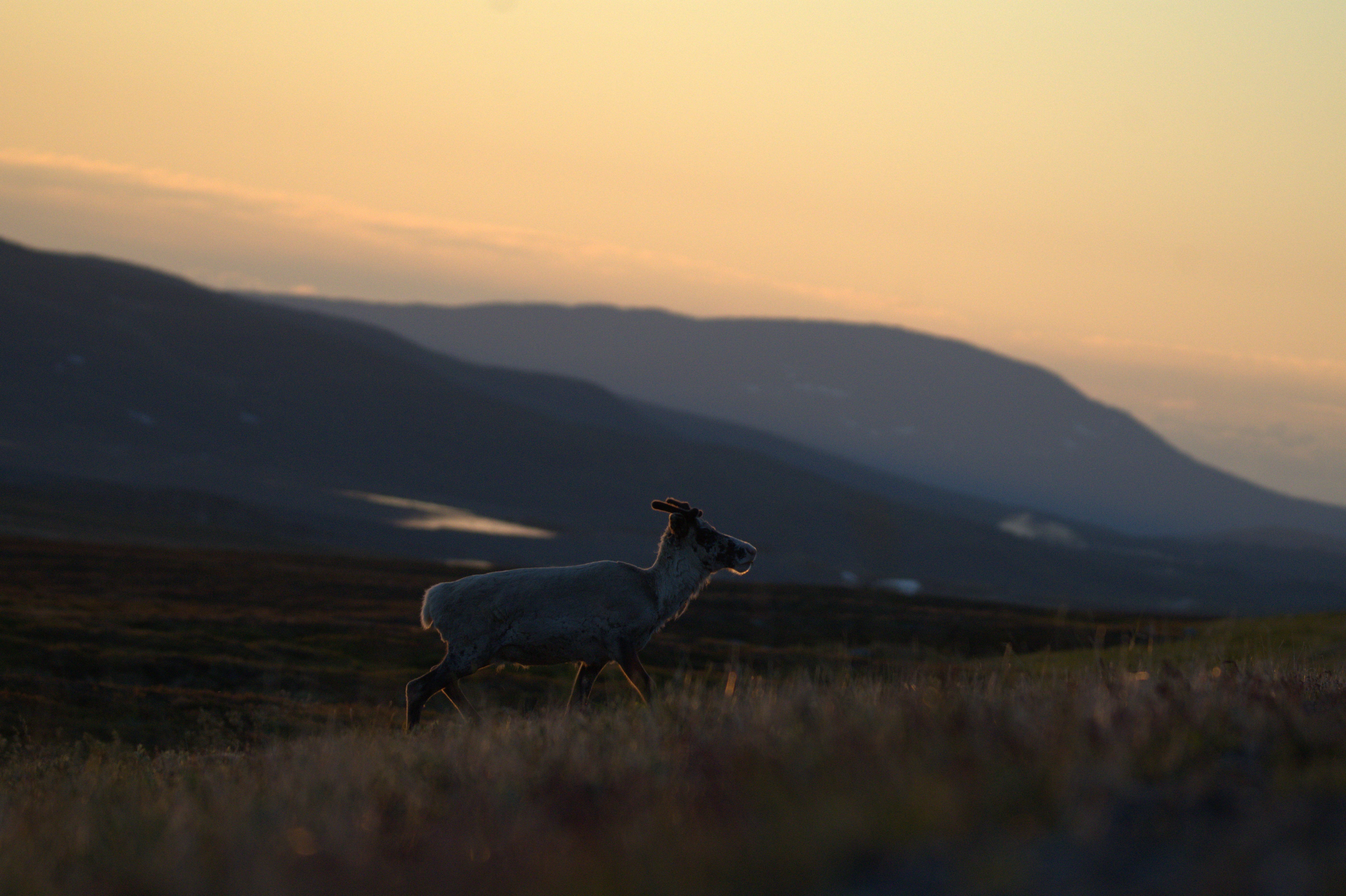 🏔️ Север Швеции