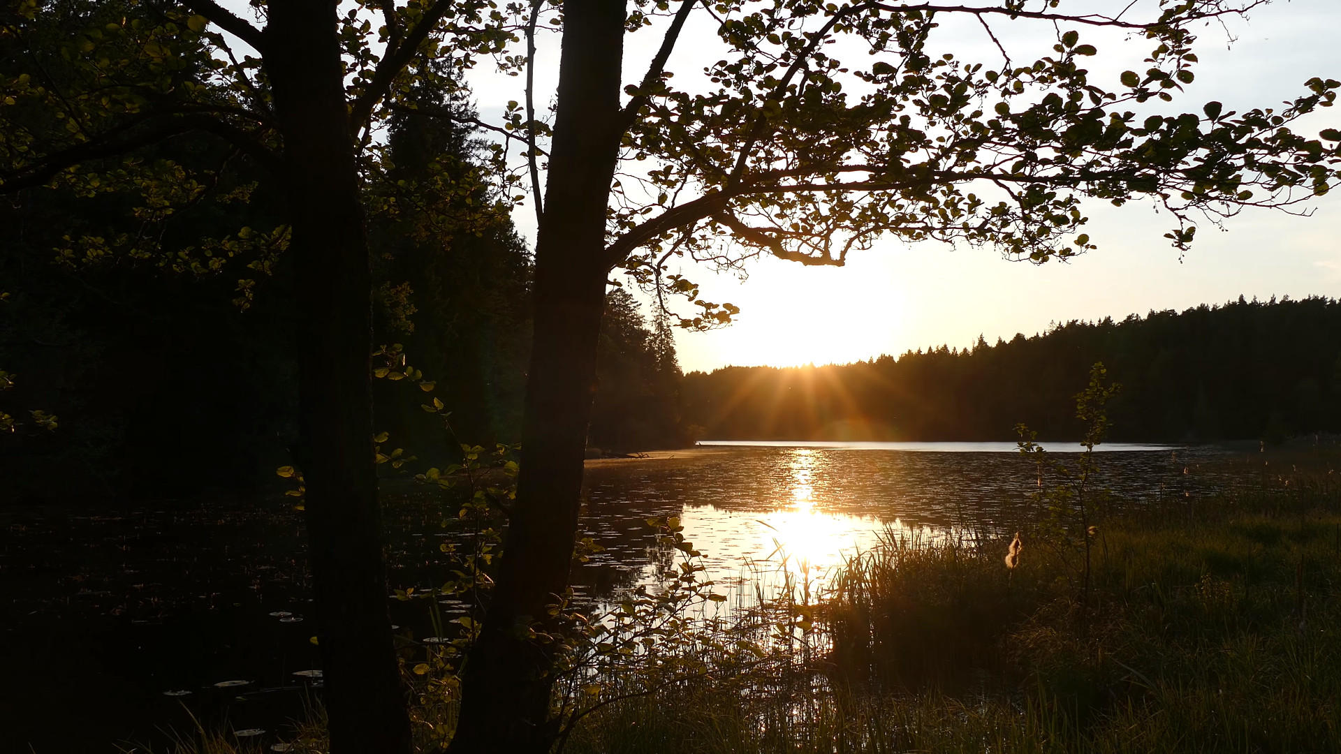 📍 Тюресё-Ханинге