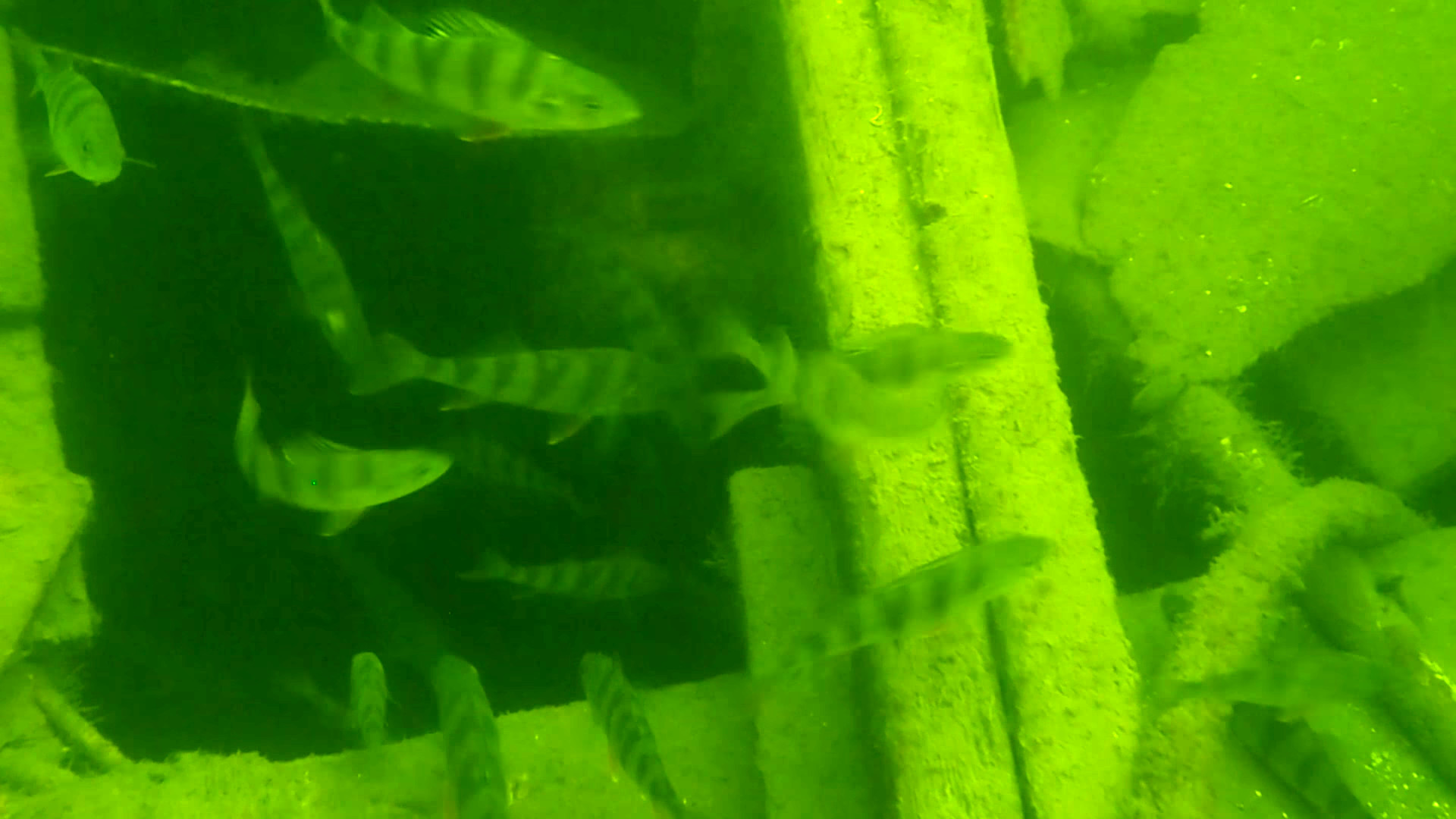 📍 Тюресё-Ханинге